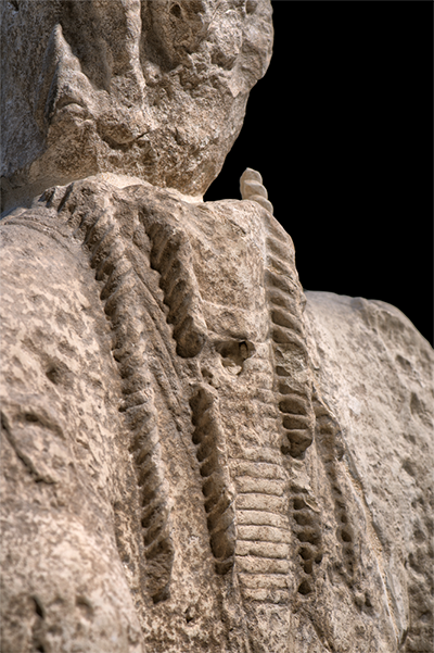 Detail of an archer's braids and ruff