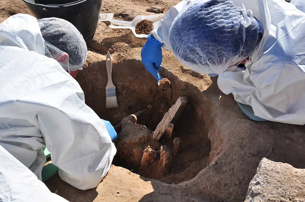 Two bioarchaeologists at work in excavation