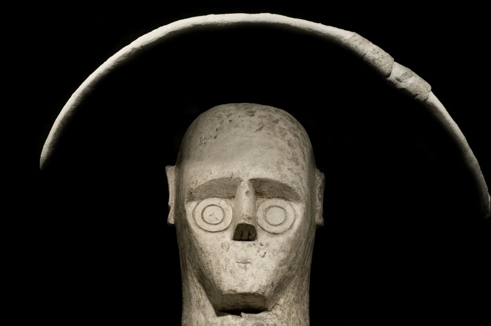 Head